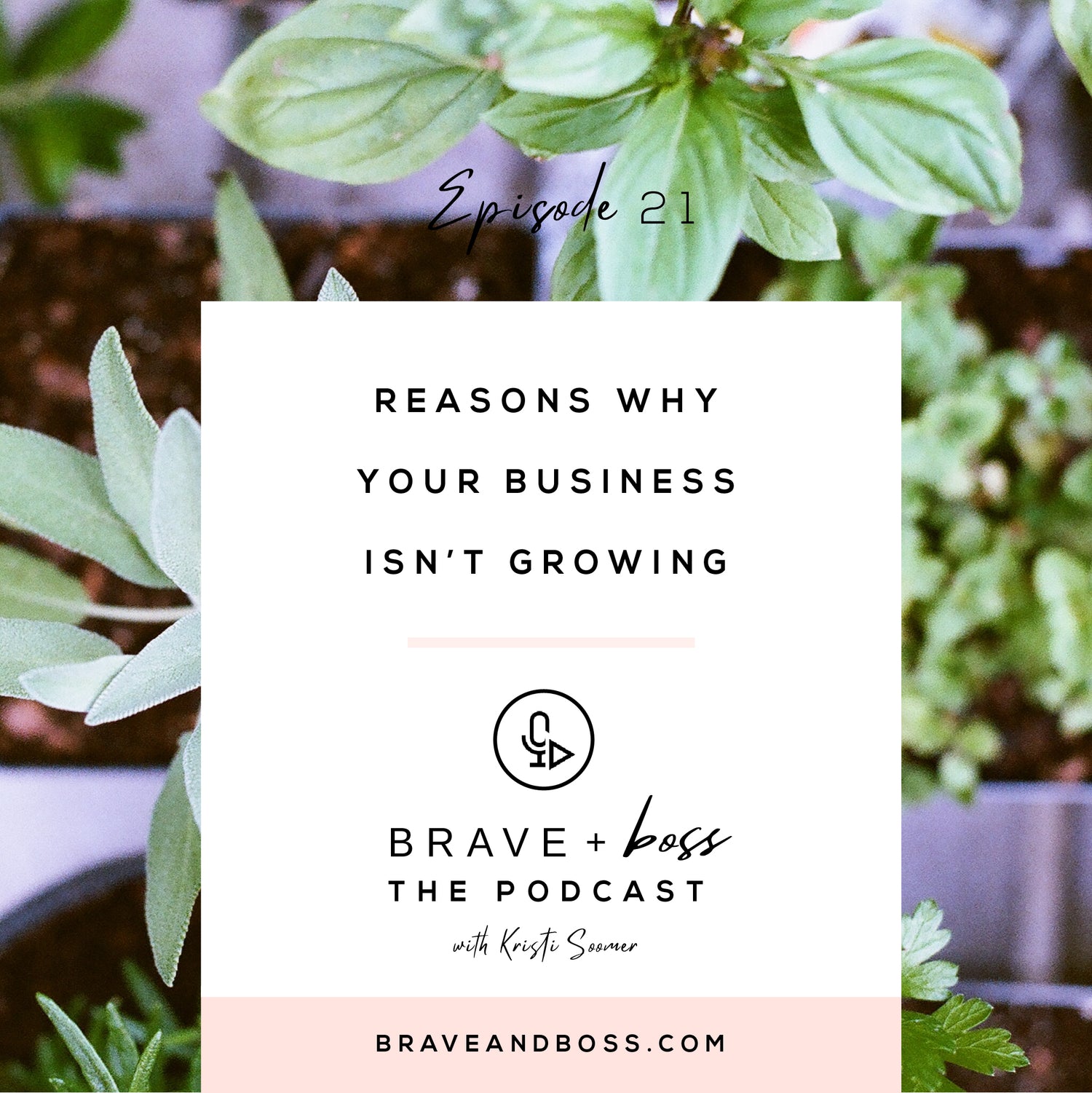 Reasons Why Your Business Isn't Growing