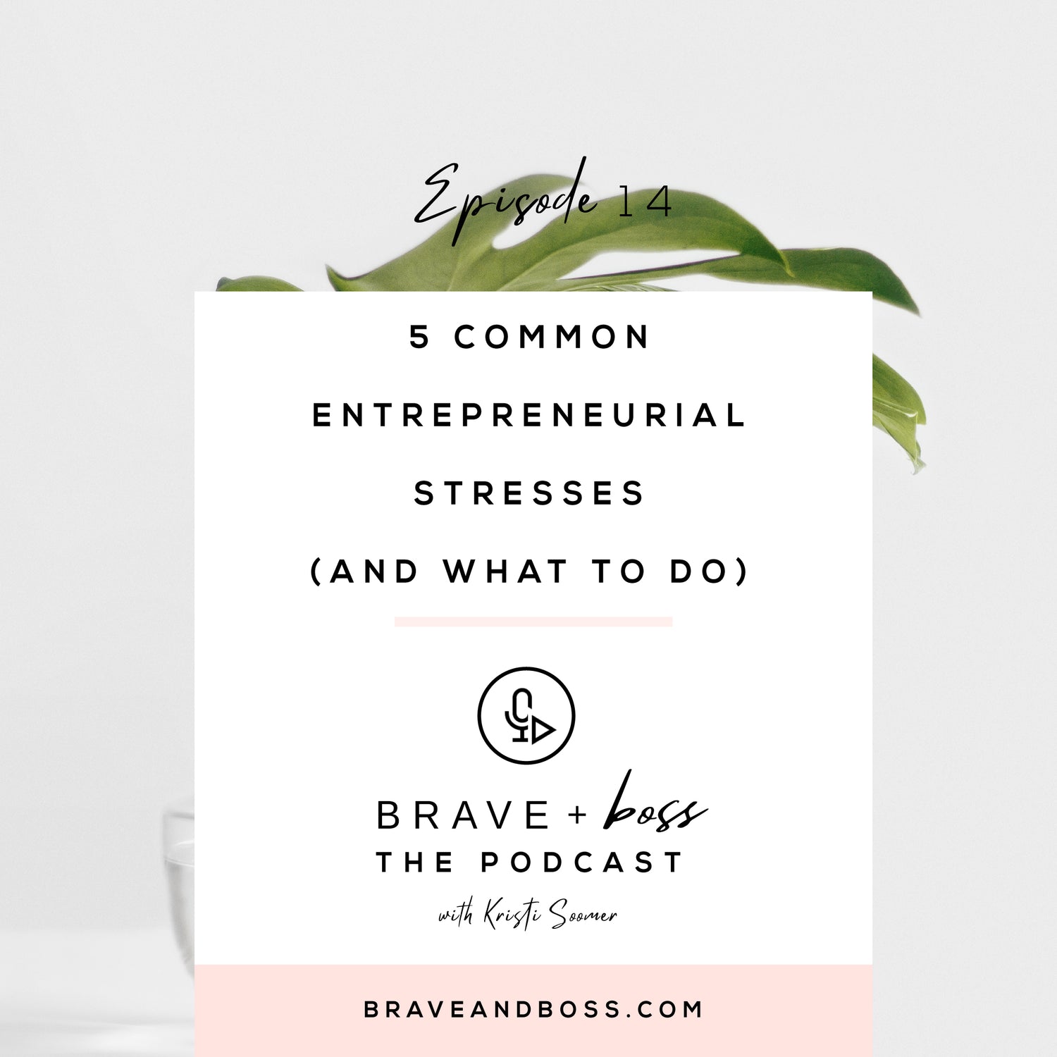 5 Common Entrepreneurial Stresses (And what to do!)